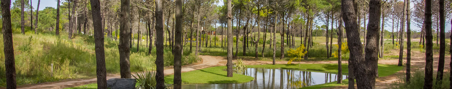 Lamarque Inmobiliaria